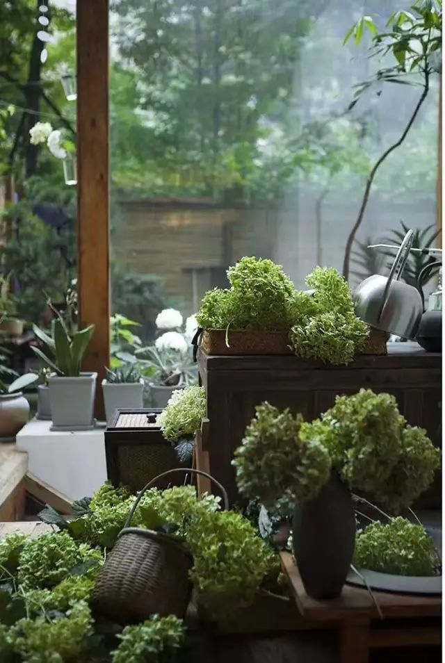 拥有后宫”佳丽三千“的设计师大叔告诉你：什么是美｜手作之美