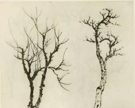 山水画画树的教学视频,山水画基础画树技法合集