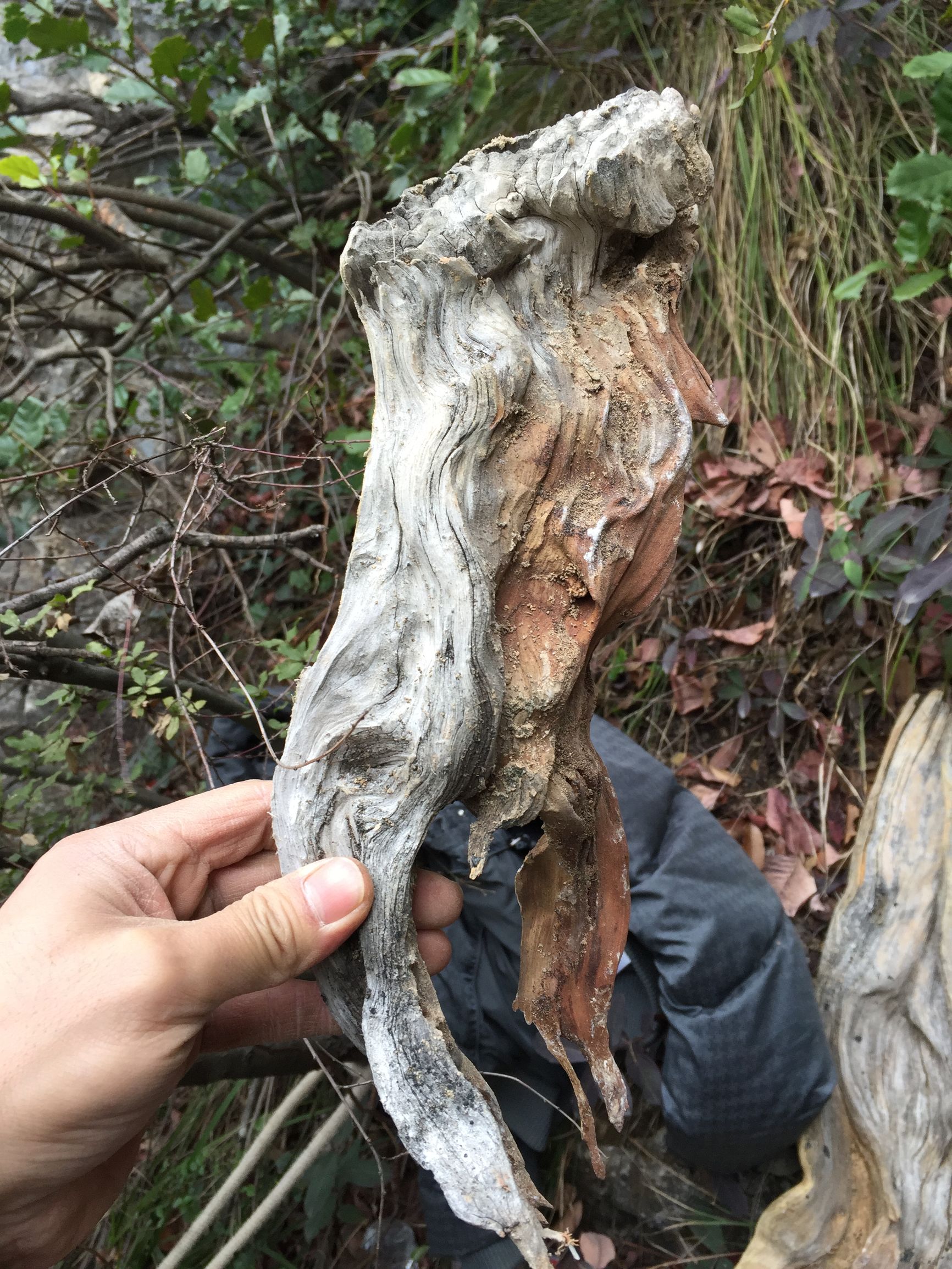 崖柏毛料去皮的正确打开方式,用纱布手磨崖柏毛料技巧