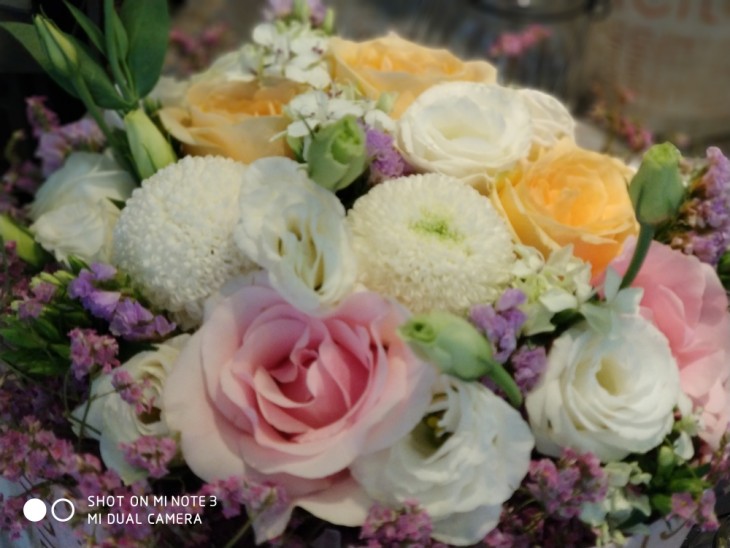 小米note3的拍照在什么水平,小米note3拍照功能