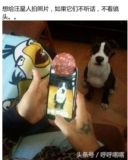 当科比遇见蔡徐坤打篮球,当科比遇到篮球爱好者