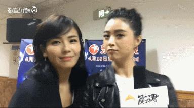 娱乐圈塑料姐妹花刘涛,娱乐圈塑料姐妹花大揭秘