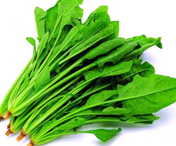 高度近视并发症失明概率,大概有多少人高度近视导致失明