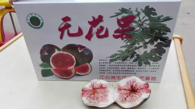 镇江有轨电车,镇江有名的塔叫什么塔