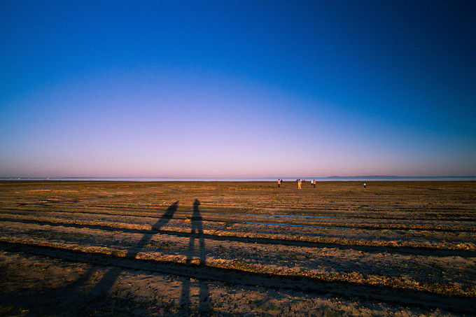 自驾游记初秋内蒙草原风光无限,内蒙大草原之旅自驾游哪里最美