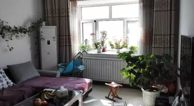 魏桥创业集团世界500强排多少名,魏桥创业2023年世界500强