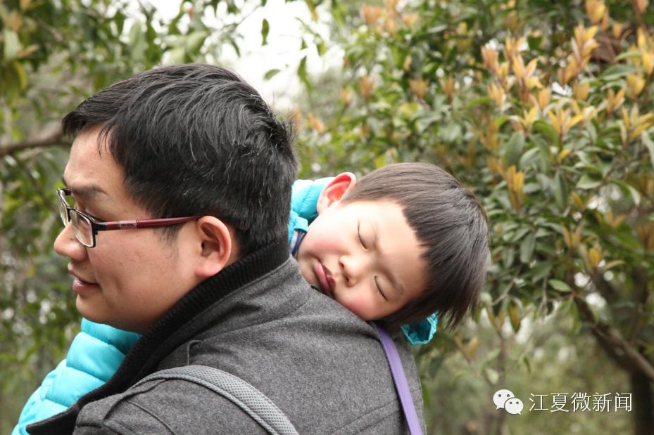 亲子植树活动信息,社区亲子植树活动