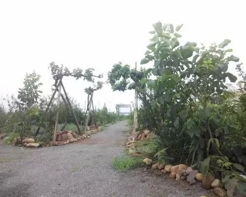 石家庄周末去哪玩推荐,石家庄初春周末游的绝佳去处