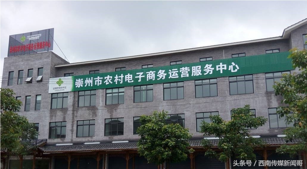 杭州森雅农业电商平台,打造互联网农业电商平台