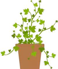 品管部的流程,品管部哪个部门好