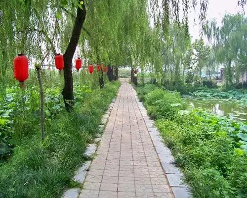 石家庄周末去哪玩推荐,石家庄初春周末游的绝佳去处
