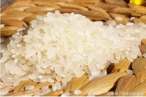 深度｜从日本大米品牌打造谈中国大米的未来之路