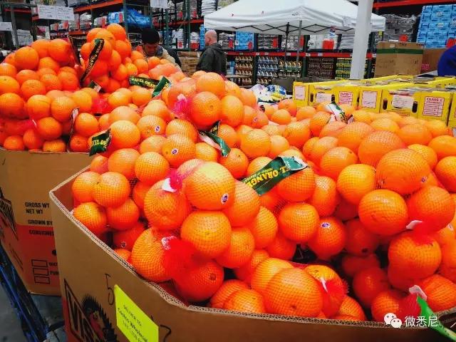 澳洲购物物价,澳洲华人超市真实物价