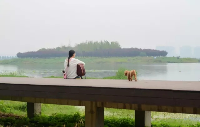 美丽的郑州北龙湖湿地公园,郑州北龙湖湿地公园初冬游记