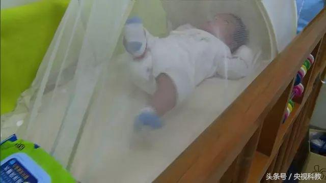 科学防蚊,实测防蚊最有效的方法