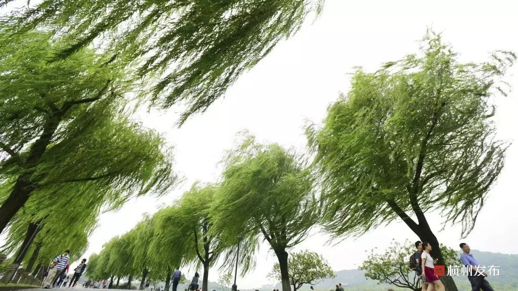 今晨最低气温,今晨气温零下5度