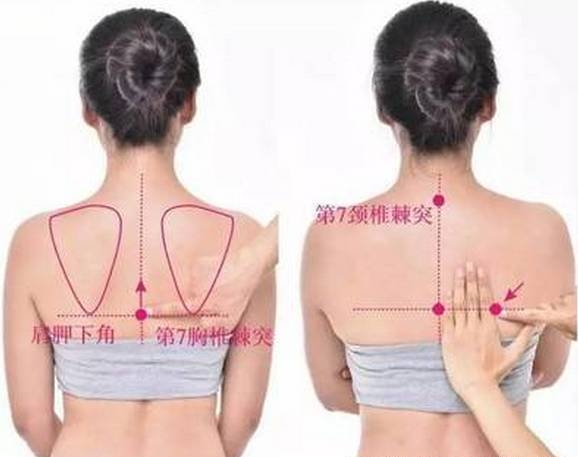 十大经络保健穴,养生穴位位置和功效及图