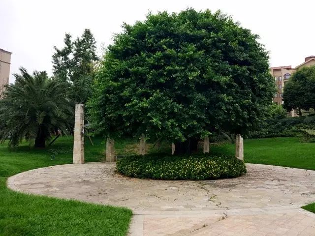 成都市龙泉驿区龙城一号户型图,成都市龙泉新楼盘价格