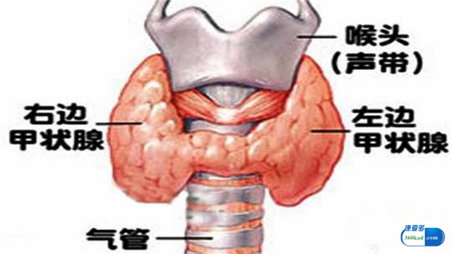 甲状腺肿瘤一定是甲状腺癌吗？有甲状腺肿瘤该如何治疗？