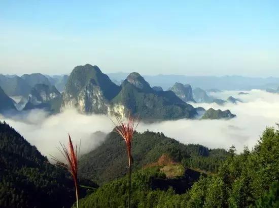 广西地质公园有哪些,广西超美景点