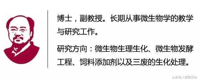 乳酸菌可以消灭黄曲霉,乳酸菌能降解黄曲霉毒素的毒性吗