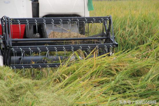 洋马收割机操作全过程,洋马收割机第一视角