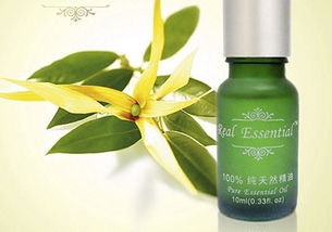 教你认识食用油,教你认识化妆品