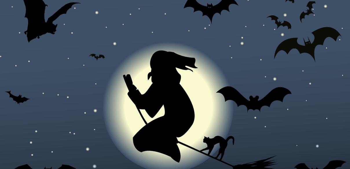 君君的创业,君君的成长记录