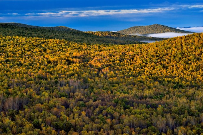 预防膝盖疼痛的爬山方法,爬山怎么不伤膝
