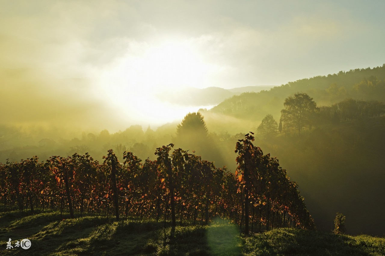 如何养我们身体的元气