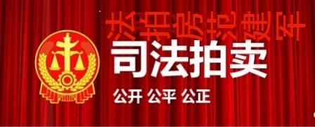 司法拍卖法拍房官网,司法拍卖法拍房全流程详解