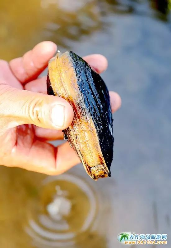 国庆大连去哪个海岛,国庆八天假去哪玩江西