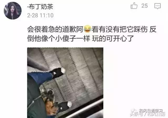 不小心踩死自己的宠物痛哭流涕,不小心把宠物压死了