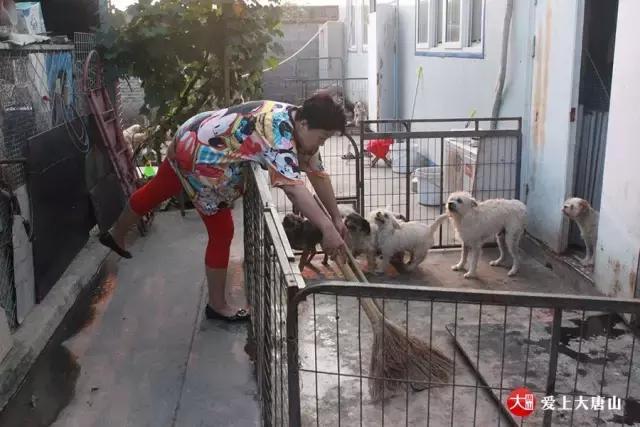 我们用镜头记录生活,记录流浪狗真实生活