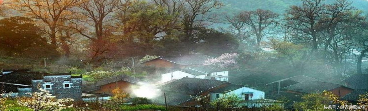 诗歌相见恨晚,世界文学经典诗歌