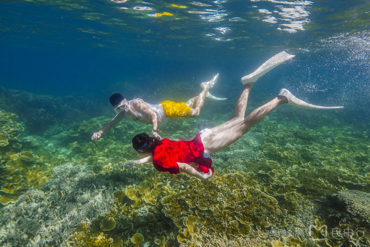 帕劳出海自由行,帕劳坐船旅游攻略
