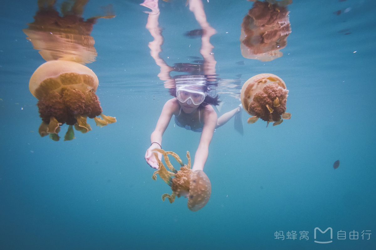 帕劳出海攻略,帕劳旅行攻略图文大全