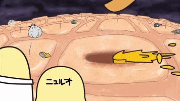 去黑头收缩毛孔最好方法,去黑头收缩毛孔最有效的方法