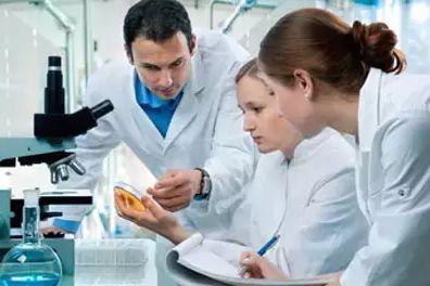 澳洲木瓜膏看完你还敢用吗,卢卡氏薇妮芮木瓜膏