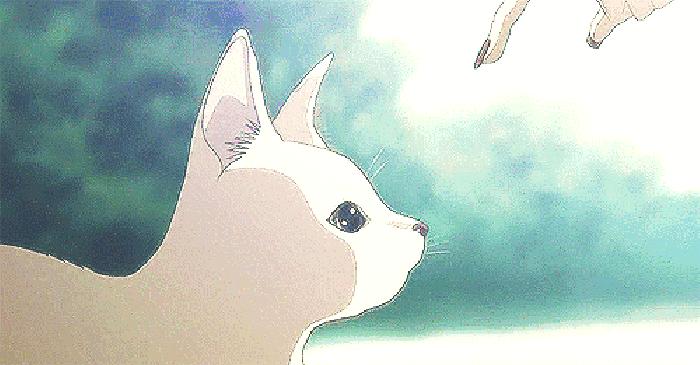 这12款平价又好用的国货护肤品，才是值得一生推的好物