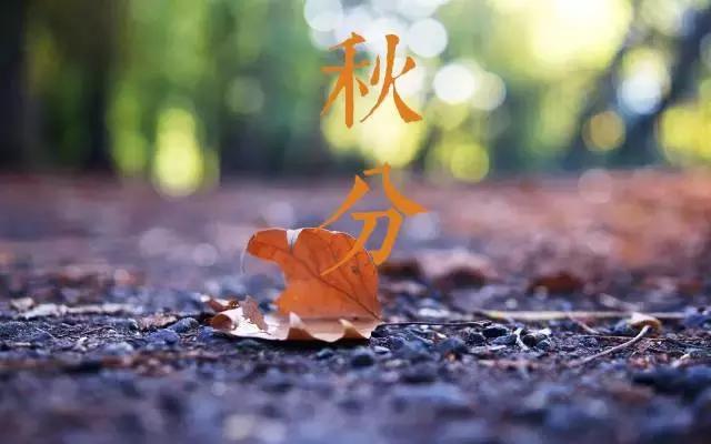 秋分养生注意预防五种常见病,秋分时节当心四种疾病盯上你