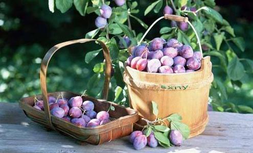 这6种进口水果，卖得一个比一个贵，普通人都快吃不起了！