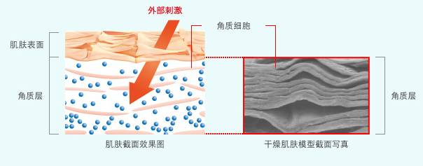珂润卸妆蜜使用步骤,相见恨晚的化妆品护肤品
