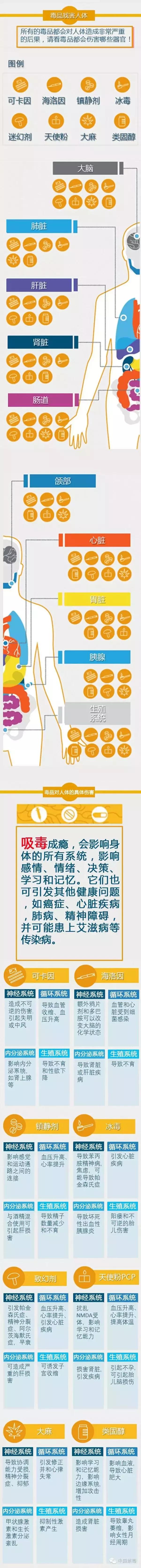 沾染毒品危害,沾染毒品的危害