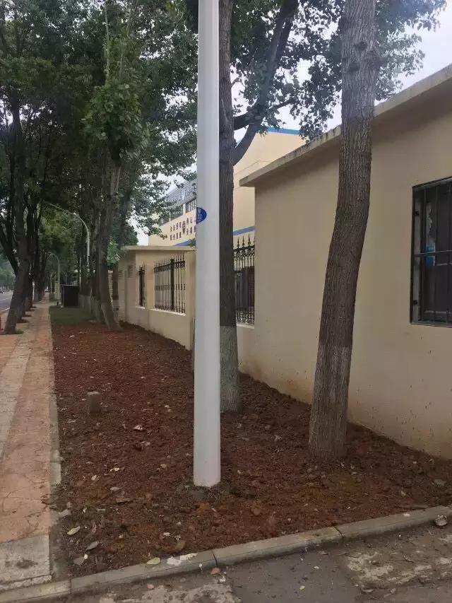 太阳能路灯自助洗车点,栖霞区迈皋桥自助洗车