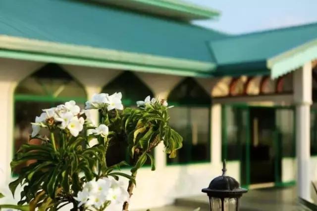 感受体温40度,感受体温