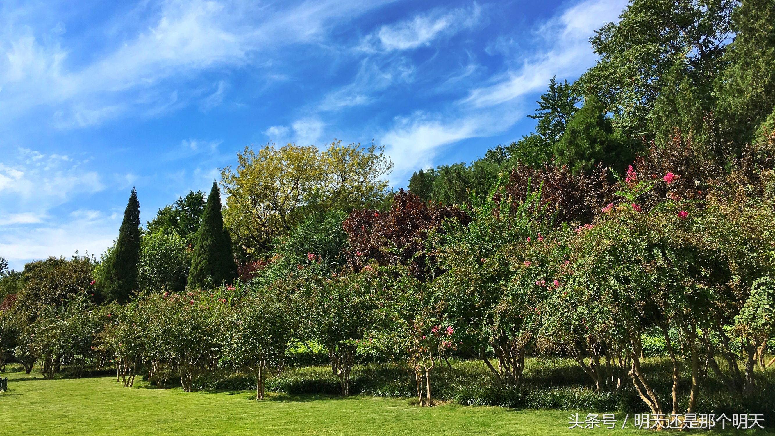 大明湖一城山色半城湖对联照片,一城山色半城湖大明湖对联