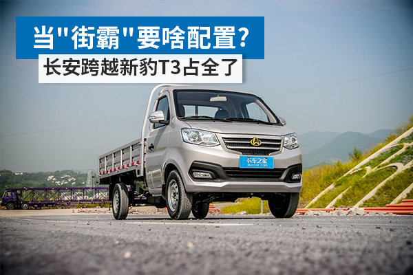 长安跨越新豹t3最新版价格,长安跨越新豹t3单排微卡