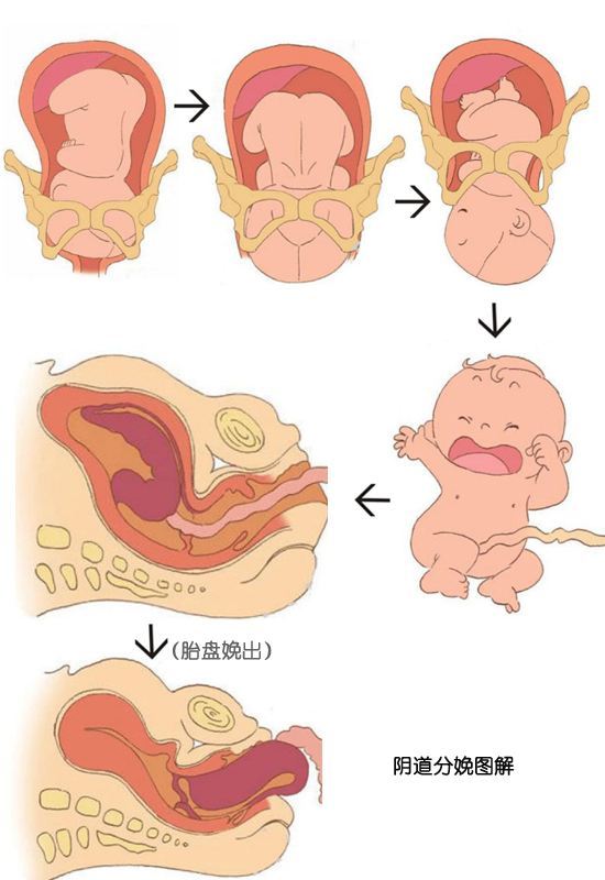 产后康复避雷点,产后修复红光理疗仪器
