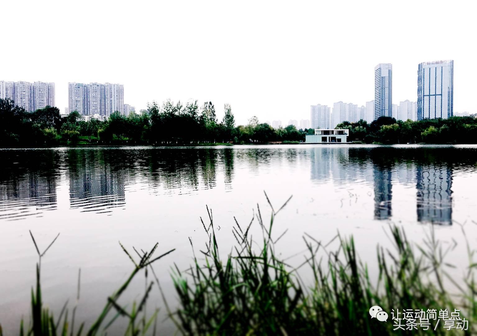 东湖庭院篮球场,室外篮球场东湖区